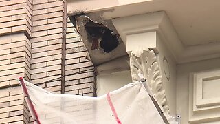 Local construction company reworks renovations after falcon nest found in building