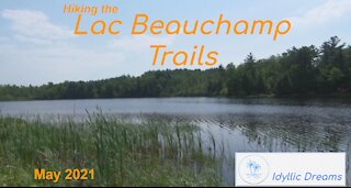 Hiking the western trails at Lac Beauchamp in Gatineau