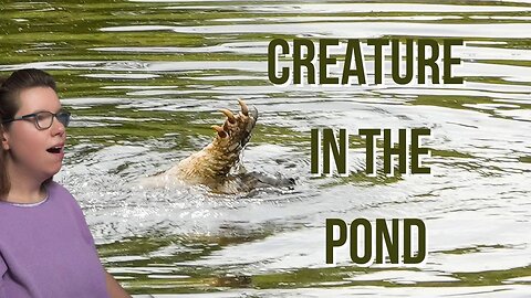A Surprise Creature n the Pond