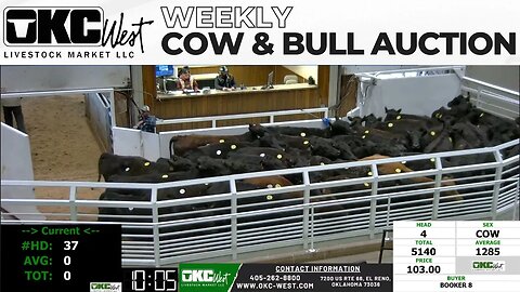 3/20/2023 - OKC West Weekly Cow & Bull Auction