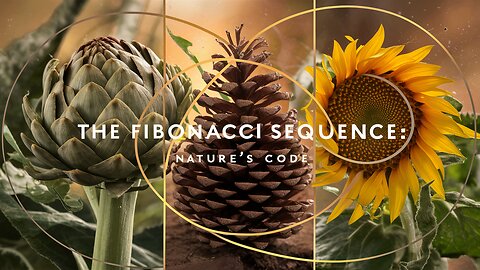 The Fibonacci Sequence: Nature's Code