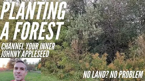 No land? No problem. Lets (not) plant a forest.