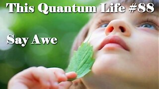 This Quantum Life #88 - Say Awe