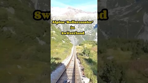 Alpine ‘Rollercoaster’ in Switzerland #shorts #switzerland #alpinecoaster #rollercoaster