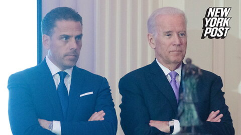 Hunter Biden claims he didn't introduce dad to Burisma exec despite admitting they dined together