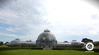 Anna Scripps Whitcomb Conservatory