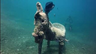 Une statue d'âne découverte au fond de la Mer Rouge