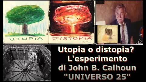 Utopia o distopia? | L'esperimento di John B. Calhoun