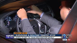 Surviving a routine police traffic stop