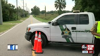 Deputies capture armed carjacker after altercation at Pasco County McDonald's