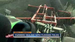 Farmers deal with flooded fields