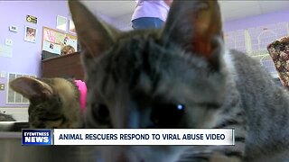 Animal rescuers respond to viral abuse video