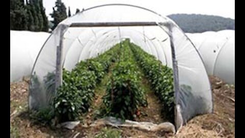 Part 26 Cold Frames Hoop Houses and Greenhouses