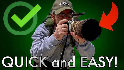 3 SIMPLE approaches to elevate your Wildlife Photography TODAY!