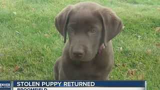 Stolen puppy, truck both returned to owner after media attention