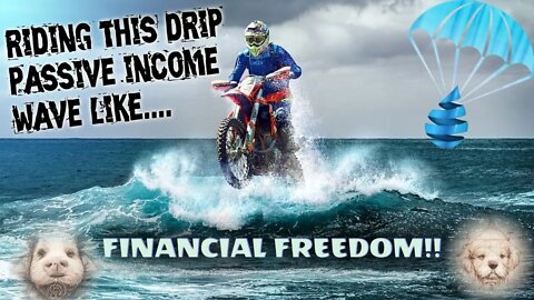 My Life Currently: Riding The Wave Of Passive Income w/ DRIP & Animal Farm + $8500 AIRDROP TIME💧☔️🌊