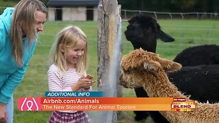 Unique Travel Experiences For Animal Lovers!