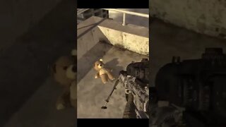 The teddy bears in cod…