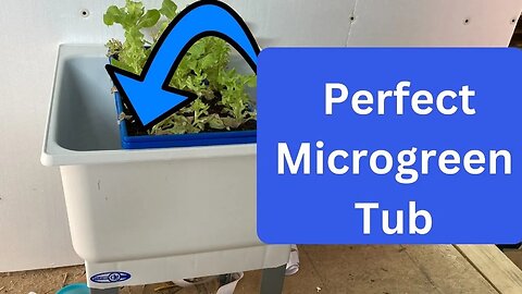 Perfect Tub For Microgreens