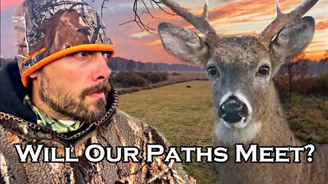 Why It’s Called HUNTING Instead of SHOOTING | Bow Hunting Whitetail Deer