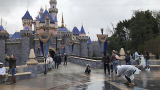 Disney Officials Urge California To Let Disneyland Reopen