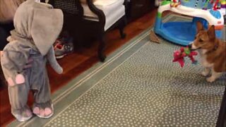 Baby i elefant kostume skræmmer hund væk