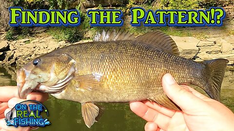 An Amazing Day Bass Fishing on the Cumberland River!