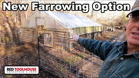 NEW Pig Farrowing Setup in Our HOOP HOUSE