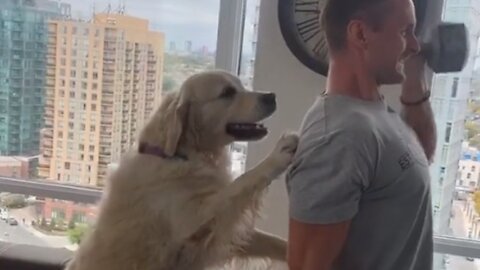 Helpful dog ends up being the perfect workout partner