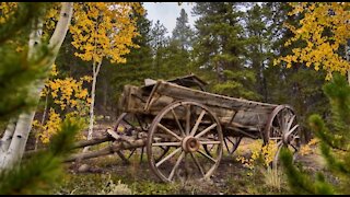 Colorado Fall Color 2017