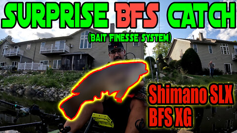 Surprise BFS Catch 👊!!!! [Shimano SLX BFS][Bait Finesse System] 🐟