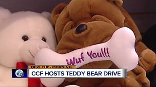 Teddy Bear Drive