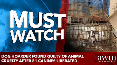 Dog hoarder found GUILTY of animal cruelty after 51 canines liberated