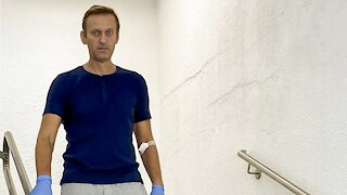 Alexei Navalny Discharged From Berlin Hospital