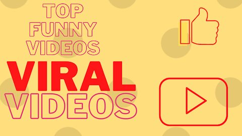 Top Funny Videos | Viral Videos