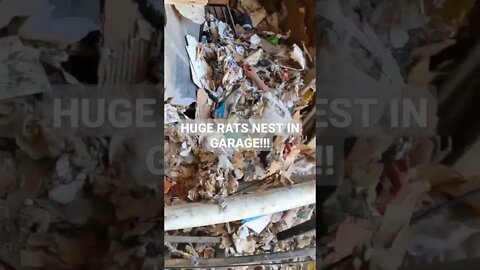 THE ENTIRE GARAGE WAS A RATS NEST! HOARDER NIGHTMARE CLEANOUT! SOONER STATE JUNK REMOVAL OKLAHOMA