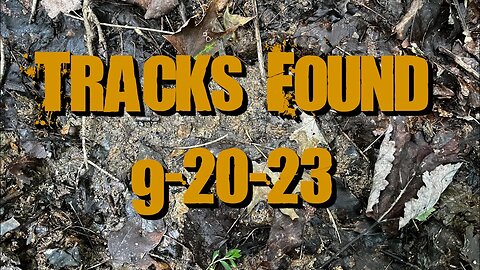 Possible Bigfoot Tracks and More! | 9/20/23