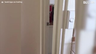 Dad's reaction to daughter's pranks is hilarious