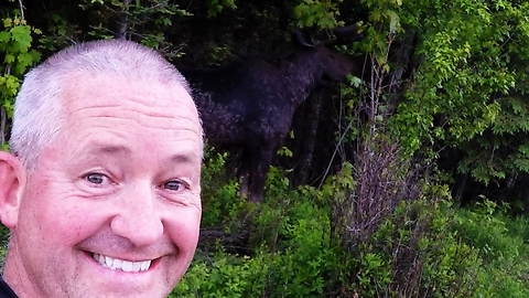Cyclist stops for selfie with bull moose
