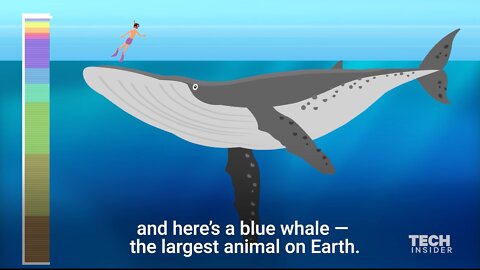 How Deep Is The Ocean? - Incredible Animation Shows Us