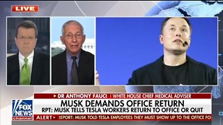 Fauci Won't Comment On Elon Musk Telling His Employees To Return To Work