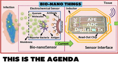 An Internet of Bio-NanoThings Application for Early Detection and Mitigation of Infectious Diseases