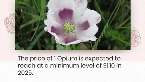 Opium Price Prediction 2022, 2025, 2030 OPIUM Price Forecast Cryptocurrency Price Prediction