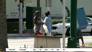 More people using crosswalks, feeling safer crossing Fletcher Avenue: Study