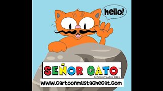 Meet Cartoon Mustache Cat Señor Gato!