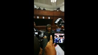 UPDATE 2 - Cape Town mayor Patricia de Lille emerges victorious in court, DA considers appeal (vcq)