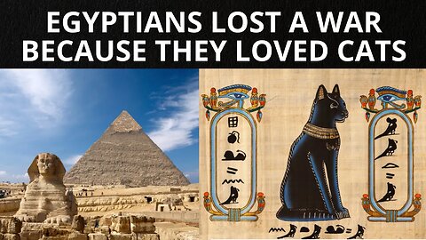 EGYPTIANS LOST A WAR BECAUSE THEY LOVED CATS