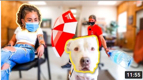 TRAINING A PITBULL THAT WAS ATTACKED BY OTHER DOGS🏴‍☠️