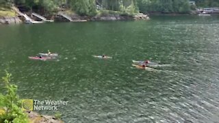 Kayakers glide through the water on a beautiful day in B.C.