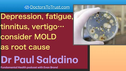 DR PAUL SALADINO 1 | Depression, fatigue, tinnitus, vertigo… consider MOLD as root cause